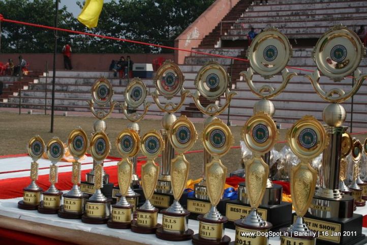 sw-14, ground,trophies,, Bareilly Dog Show 2011, DogSpot.in