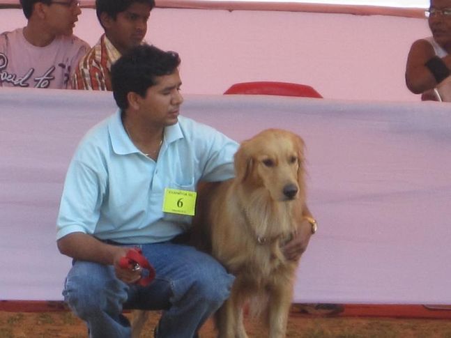 bhubaneswar dog show, Bhubaneswar dog show, DogSpot.in