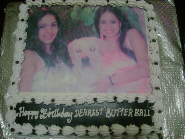 butterball bday fotos, ButterBall B'day fotos, DogSpot.in