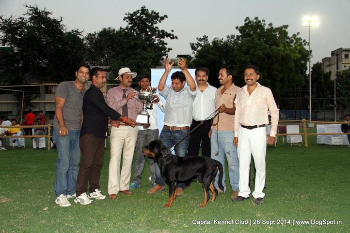 lineup,sw-128,, Capital Kennel Club - 2014 , DogSpot.in