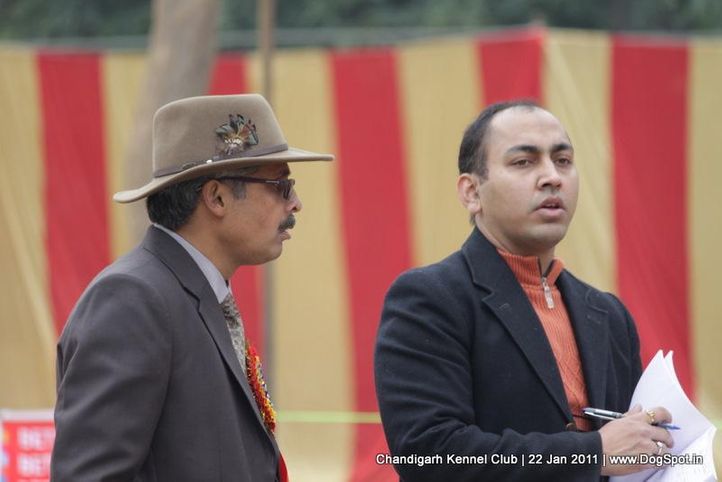 judges,people,sw-50,, Chandigarh 2012, DogSpot.in