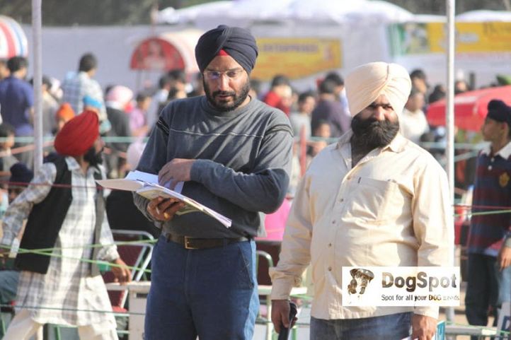 Ring Steward,, Chandigarh Dog Show 2010, DogSpot.in