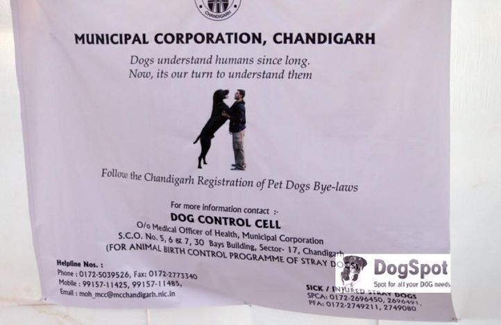 Ground,, Chandigarh Dog Show 2010, DogSpot.in