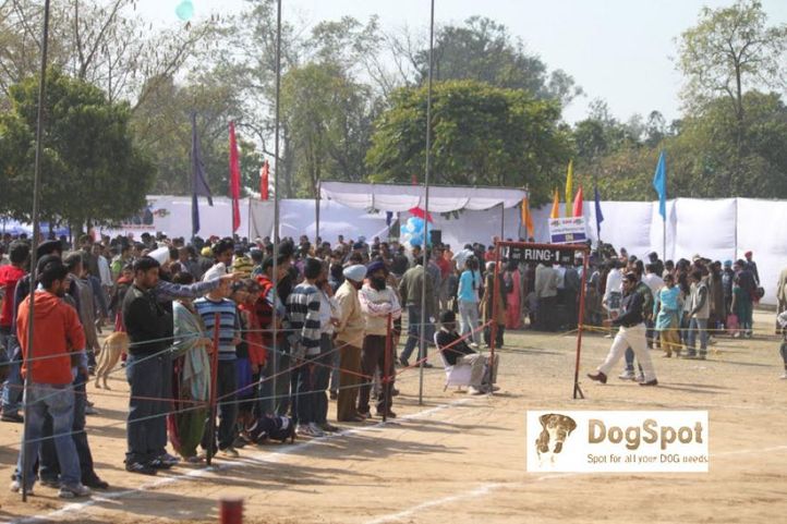 Ground,, Chandigarh Dog Show 2010, DogSpot.in