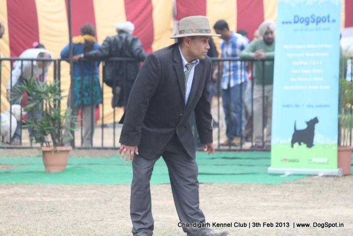 judge,sw-75,, Chandigarh Dog Show 2013, DogSpot.in