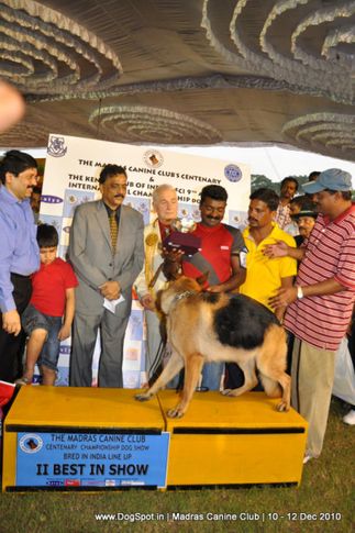 lineup,, Chennai Dog Shows, DogSpot.in
