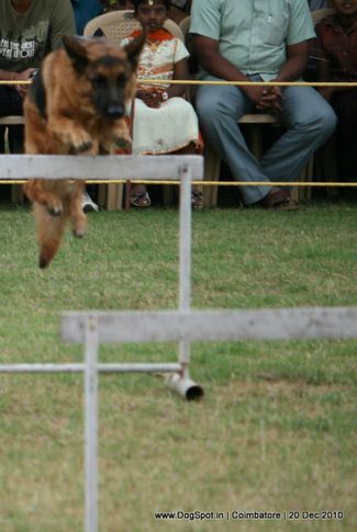 sw-19, agility,, Coimbatore 2010, DogSpot.in