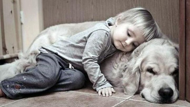 cute kids with pets, Cute Kids with Pets, DogSpot.in