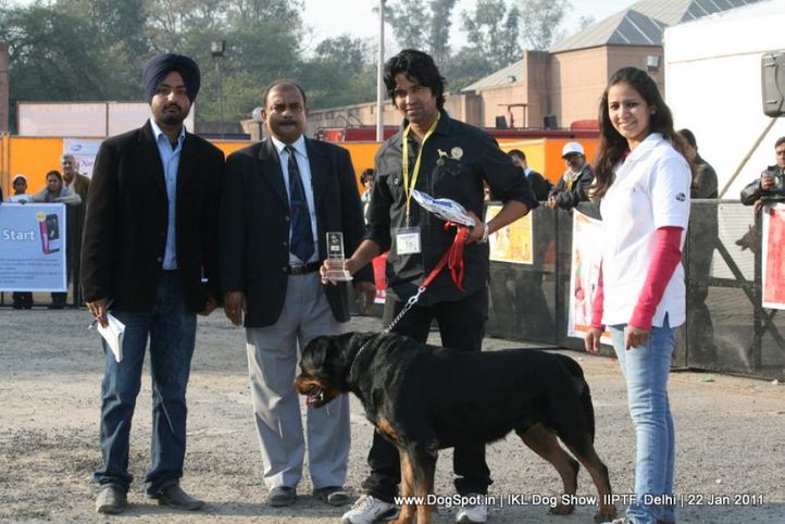 all breed championship,rottweiler,, Day 2 IKL Show IIPTF, DogSpot.in