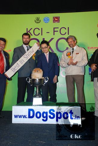 8thGKC,8thGKCLineup,day2,LineupDay2,, Day2 LineUp FCI GKC KCI, DogSpot.in
