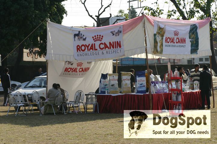 ground,, Dehradun Dog Show 2008, DogSpot.in