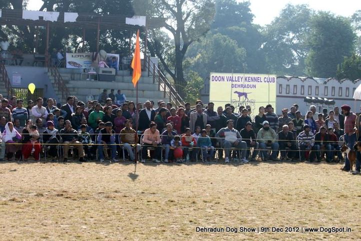 people,sw-73,, Dehradun Dog Show 2012, DogSpot.in