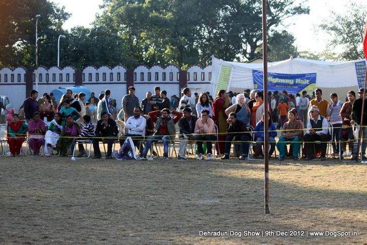 people,sw-73,, Dehradun Dog Show 2012, DogSpot.in