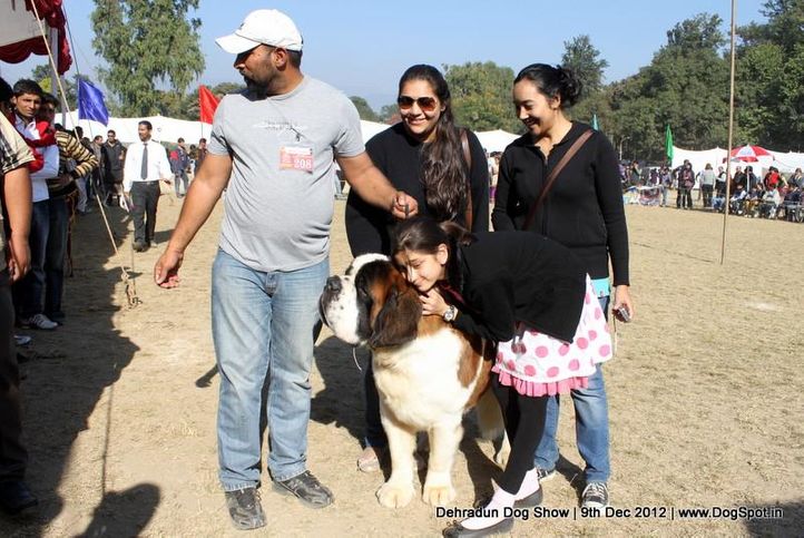 people,stbernard,sw-73,, Dehradun Dog Show 2012, DogSpot.in