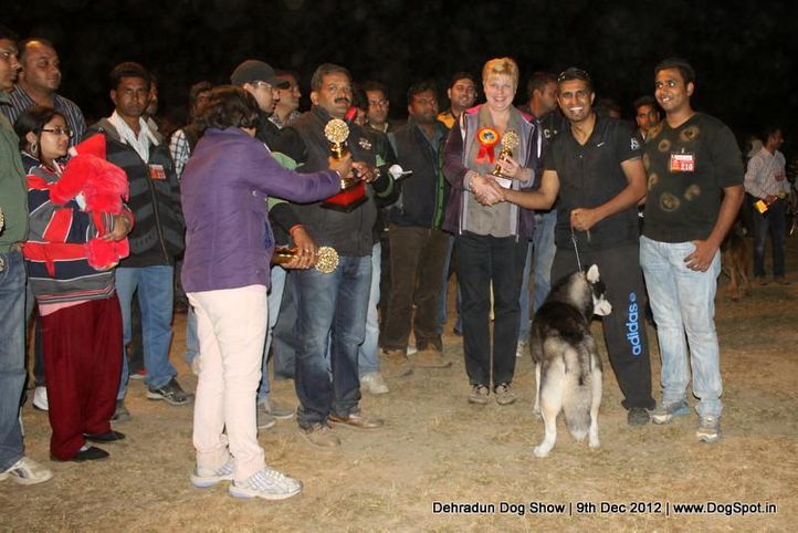 line up,sw-73,, Dehradun Dog Show 2012, DogSpot.in