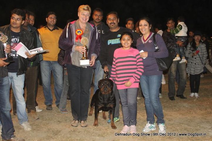 line up,sw-73,, Dehradun Dog Show 2012, DogSpot.in