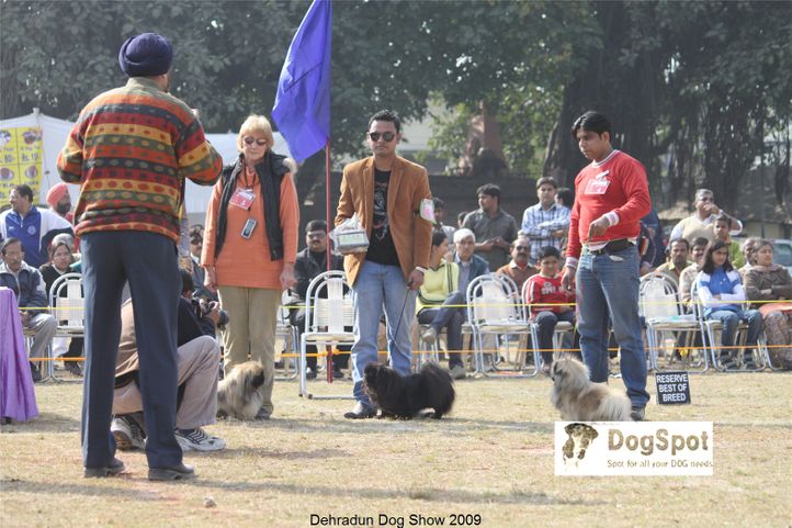 , Dehradun Dog Show, DogSpot.in