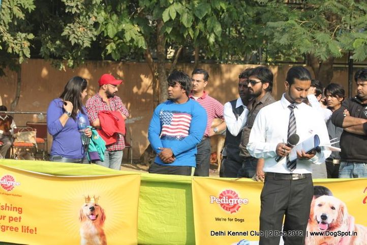 people,sw-67,, Delhi Dog Show 2012, DogSpot.in