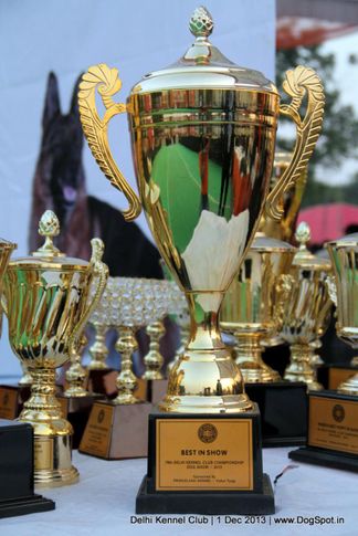 sw-98,trophies,, Delhi Dog Show 2013, DogSpot.in