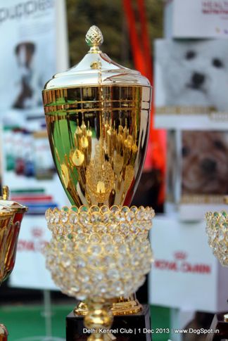 sw-98,trophies,, Delhi Dog Show 2013, DogSpot.in