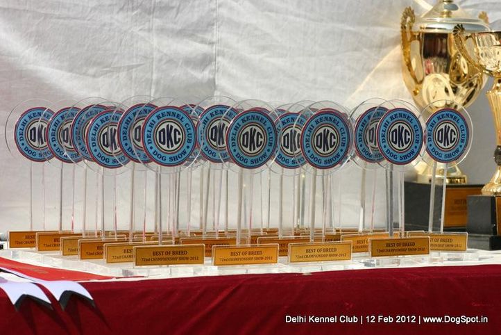 sw-52,trophies,, Delhi Kennel Club 2012, DogSpot.in