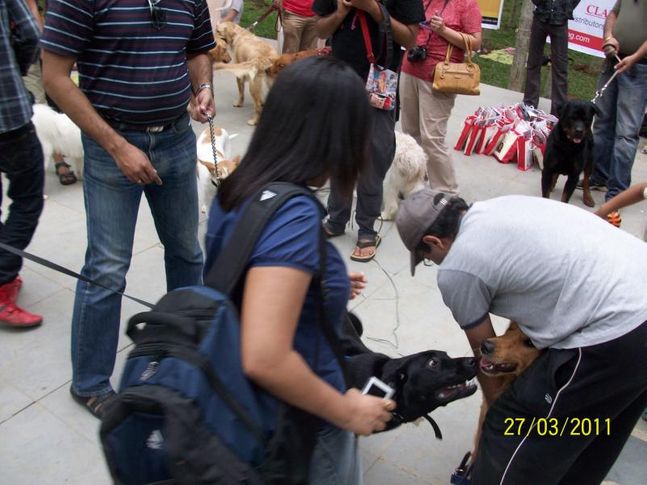 doggies day out 27th march 2011 bangalore, 'Doggies Day Out' 27th March 2011 Bangalore, DogSpot.in