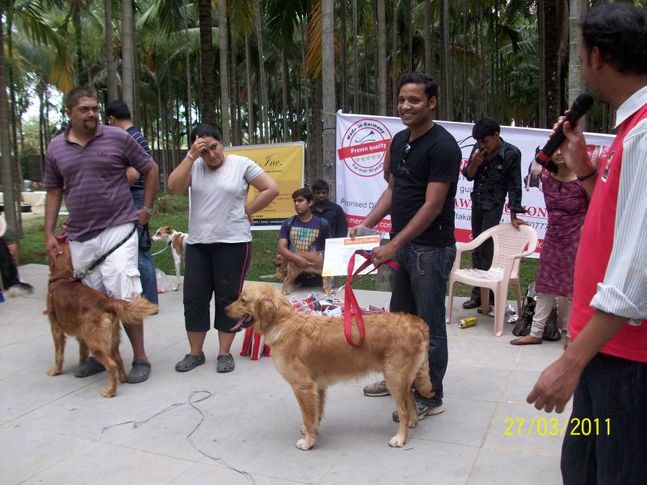 doggies day out 27th march 2011 bangalore, 'Doggies Day Out' 27th March 2011 Bangalore, DogSpot.in
