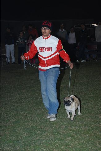 Best Junior Handler,, FCI 2008 Junior Handler, DogSpot.in