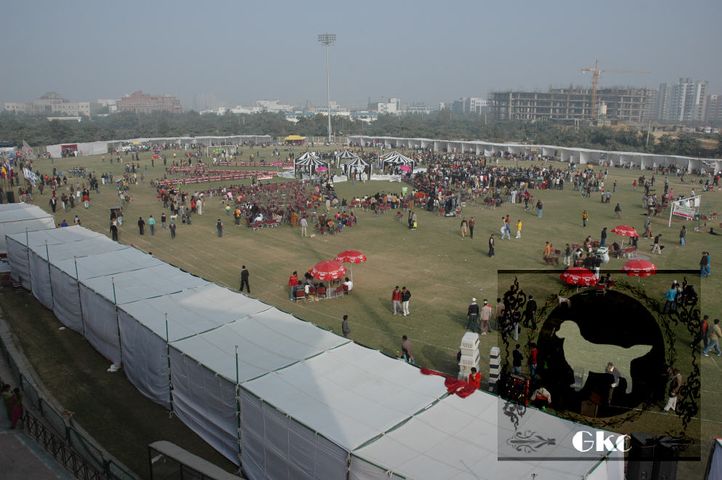 , FCI Show Ground and Trivia, DogSpot.in