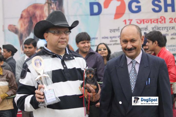 Minpin,, Ghaziabad Dog Show 2010, DogSpot.in