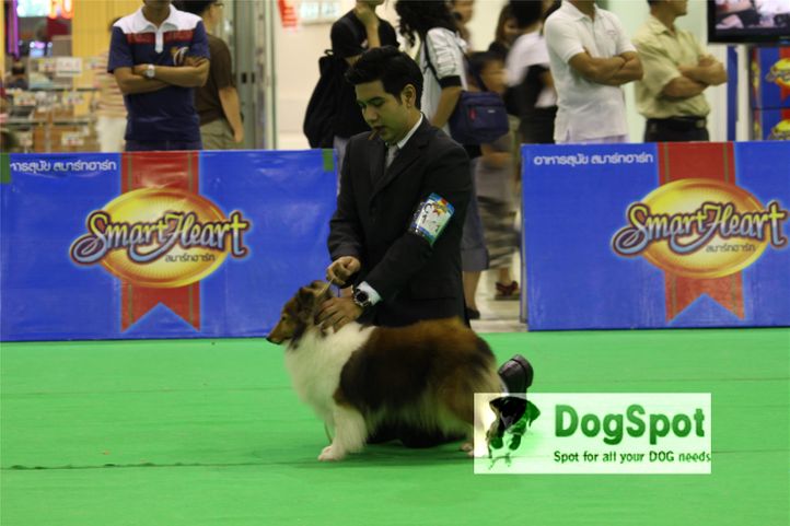 , Grand Show Thailand 2009, DogSpot.in
