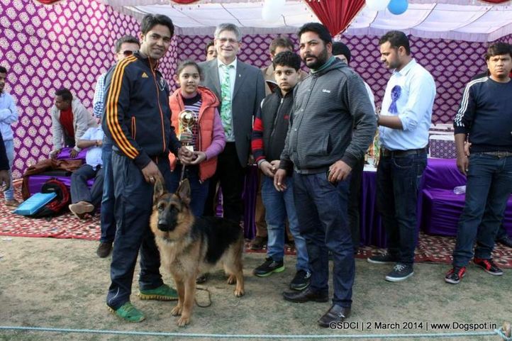 prize distribution,sw-119,, GSDCI 2014, DogSpot.in