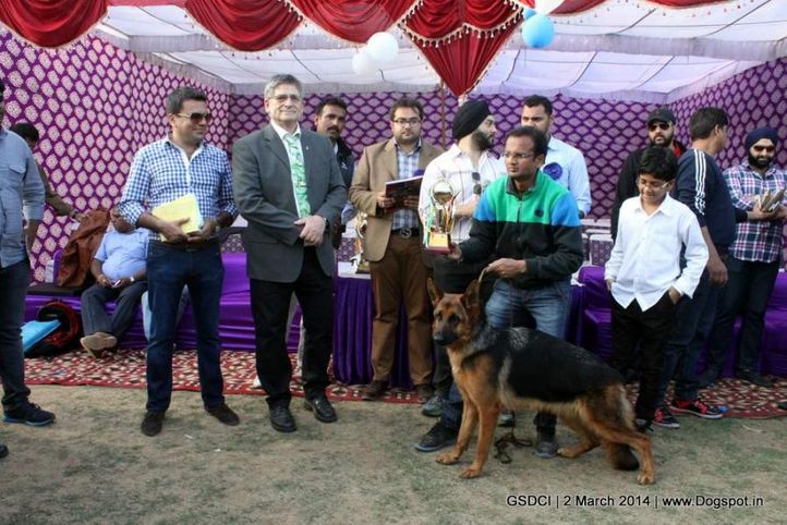 prize distribution,sw-119,, GSDCI 2014, DogSpot.in