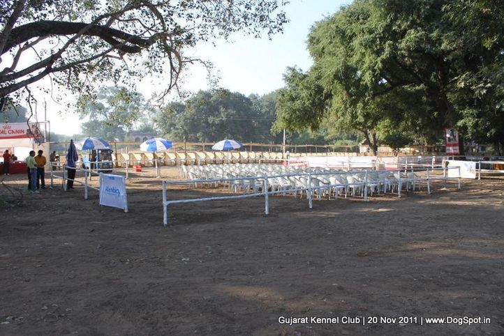 ground,sw-44,, Gujarat Kennel Club, DogSpot.in
