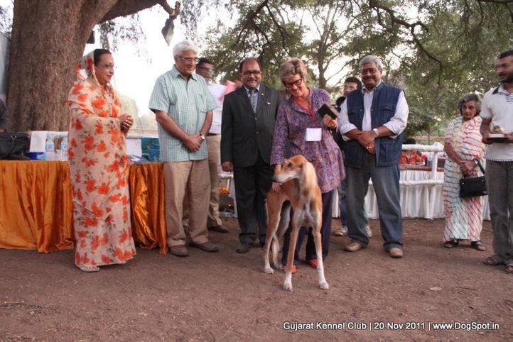 bis,sw-44,, Gujarat Kennel Club, DogSpot.in