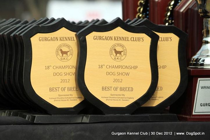 show trophy,sw-77,, Gurgaon Dog Show 2012, DogSpot.in