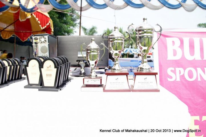 sw-87,trophies,, Jabalpur Dog Show 2013, DogSpot.in