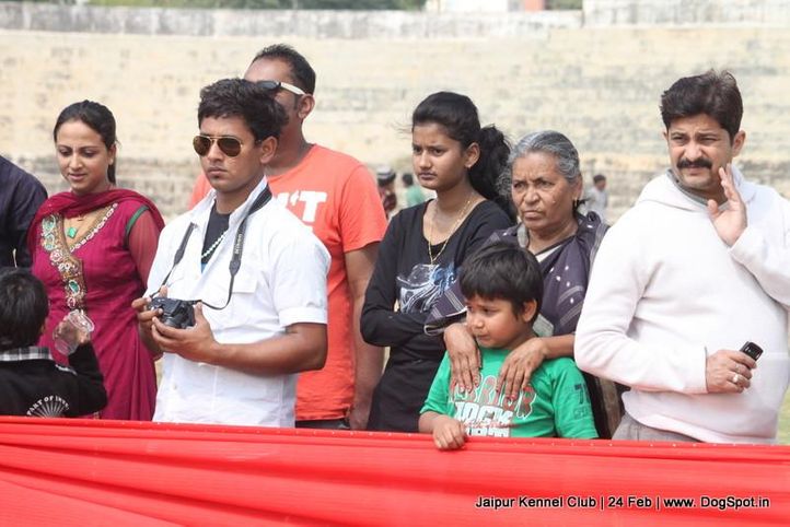 people,sw-84,, Jaipur Dog Show 2013, DogSpot.in