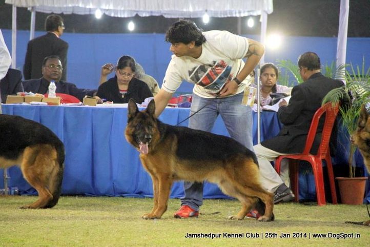 ex-47,german shepherd,sw-114,, Jamshedpur Dog Show 2014, DogSpot.in