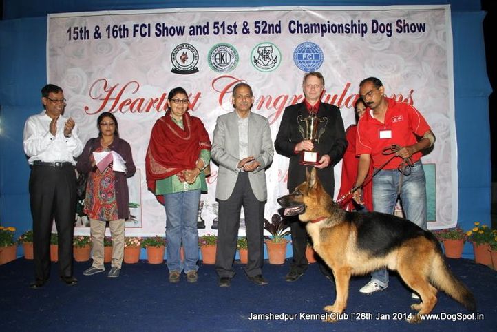 bi,ex-26,german shepherd,line up,sw-114,, Jamshedpur Dog Show 2014, DogSpot.in