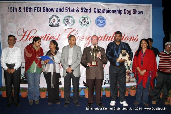 ex-388,line up,pug,sw-114,, Jamshedpur Dog Show 2014, DogSpot.in