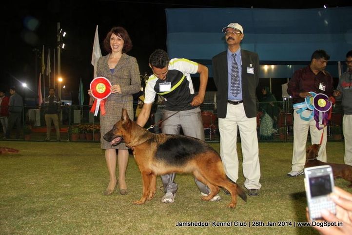 line up,sw-114,, Jamshedpur Dog Show 2014, DogSpot.in
