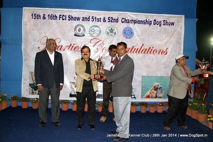 line up,pug,rbp,sw-114,, Jamshedpur Dog Show 2014, DogSpot.in