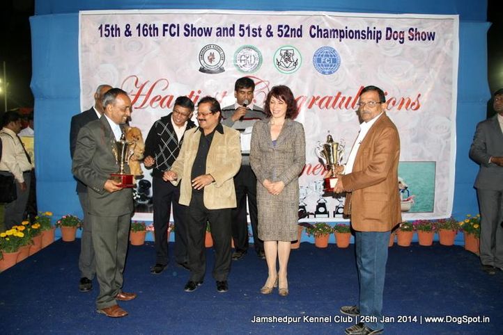 ex-221,line up,pomeranian,sw-114,, Jamshedpur Dog Show 2014, DogSpot.in