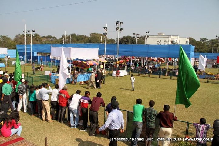 show ground,sw-114,, Jamshedpur Dog Show 2014, DogSpot.in