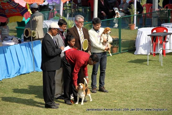 show ground,sw-114,, Jamshedpur Dog Show 2014, DogSpot.in
