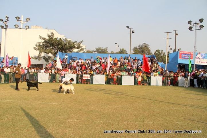 people,sw-114,, Jamshedpur Dog Show 2014, DogSpot.in