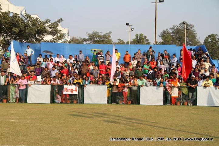 people,sw-114,, Jamshedpur Dog Show 2014, DogSpot.in