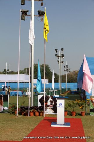 show ground,, Jamshedpur Obedience Dog Show 2014 , DogSpot.in