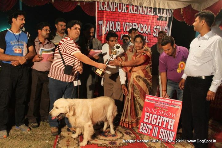 bis,sw-42,, Kanpur Dog Show 2011, DogSpot.in